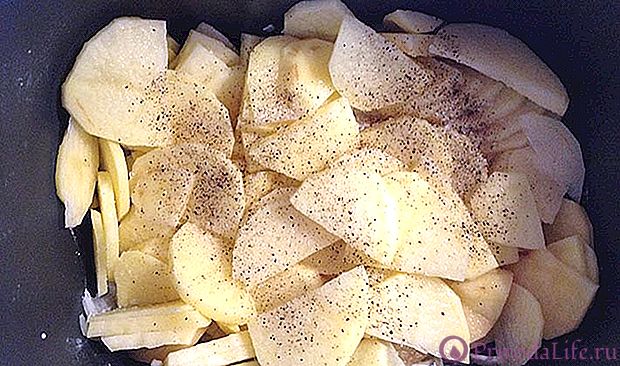 Картошка с грибами в мультиварке - 46 рецептов: Овощные блюда | Foodini